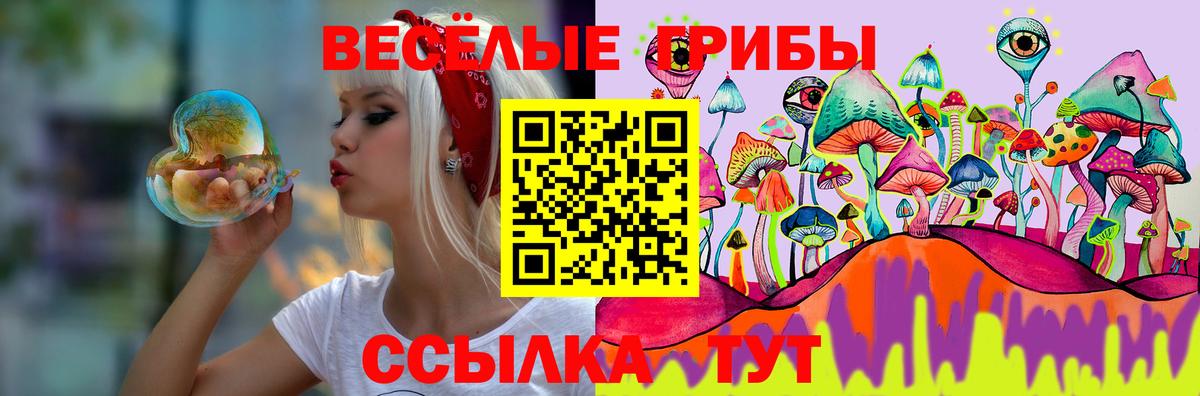Галлюциногенные грибы Psilocybine cubensis Мытищи